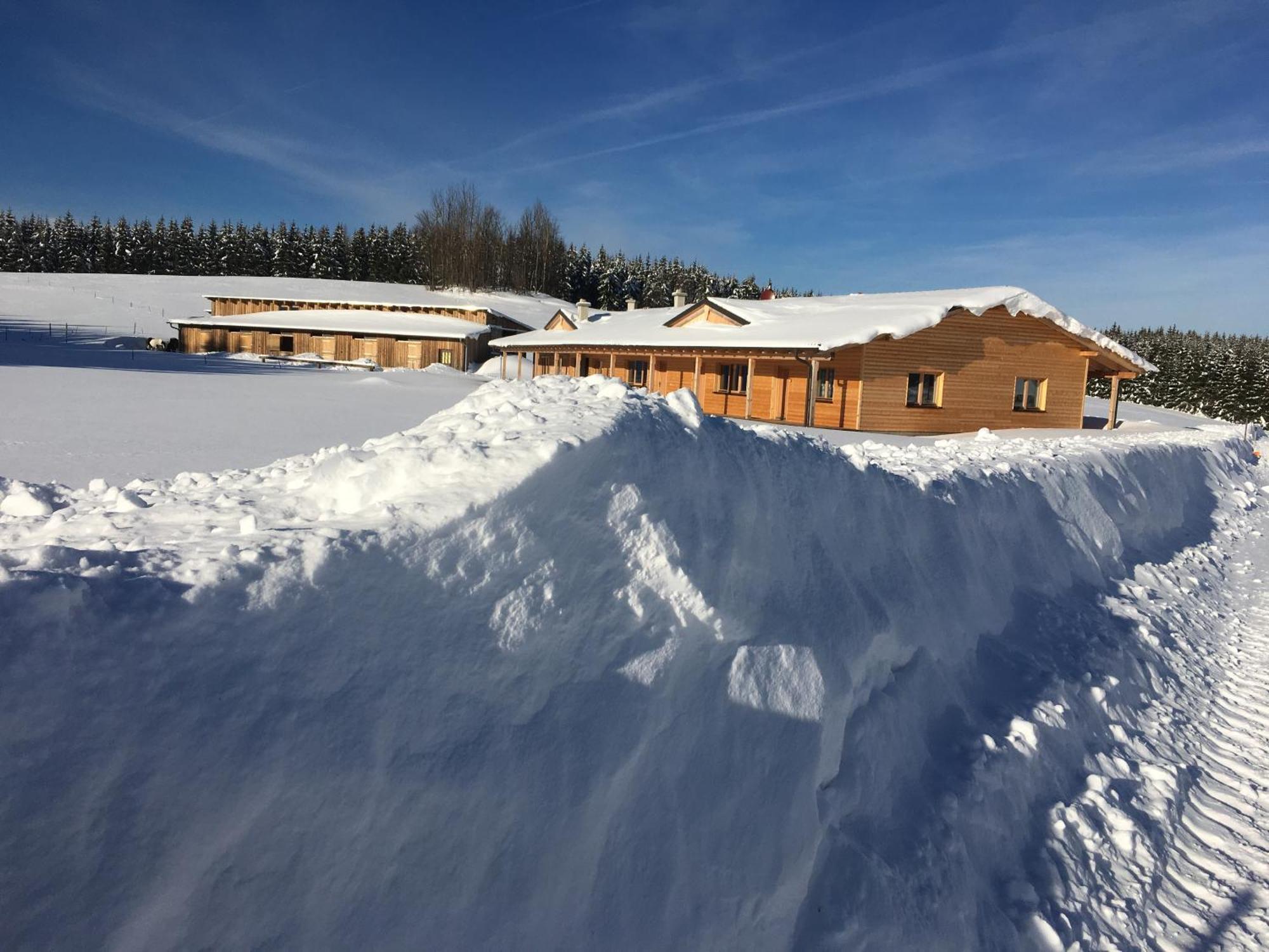 Bed and Breakfast Big Sky Ranch Либенау Экстерьер фото